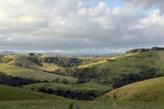 Landscape around the screenwriters retreat